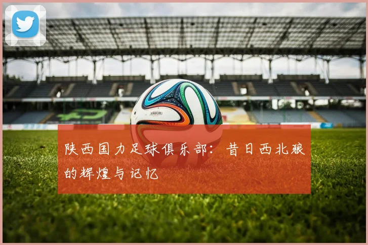 陕西国力足球俱乐部：昔日西北狼的辉煌与记忆