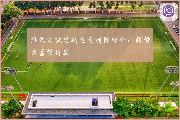 谁能打破垄断电竞洲际转会,新势力蓄势待发