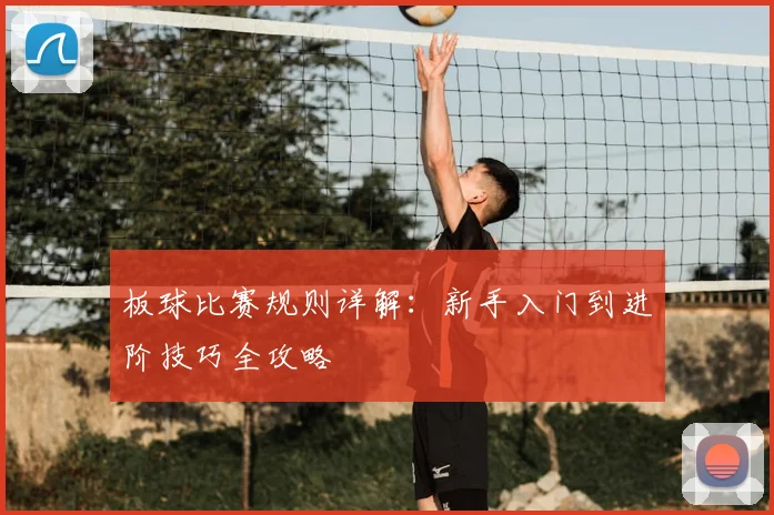 板球比赛规则详解：新手入门到进阶技巧全攻略