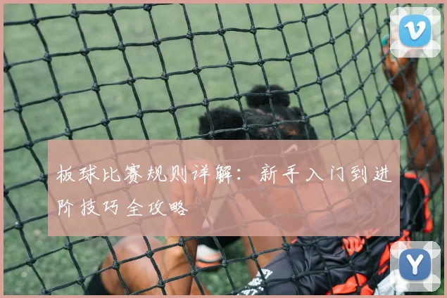 板球比赛规则详解：新手入门到进阶技巧全攻略